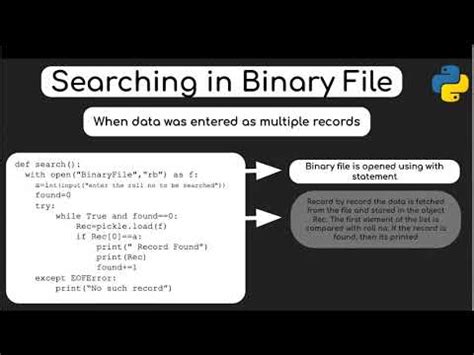 Binary Files Searching And Updating The Records Part II Class XII