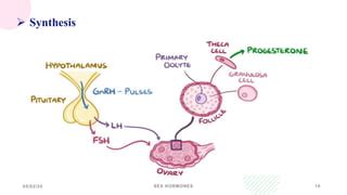 Sex Hormones And Oral Contraceptives Pptx