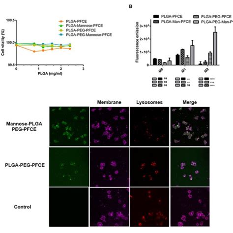 Chemical Synthesis And Characterization Of Plga Peg Nanoparticles