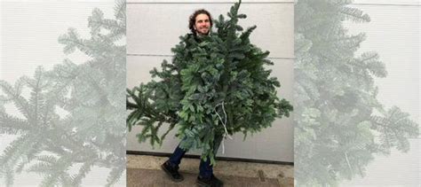 Лапник еловый купить в Санкт-Петербурге | Товары для дома и дачи | Авито