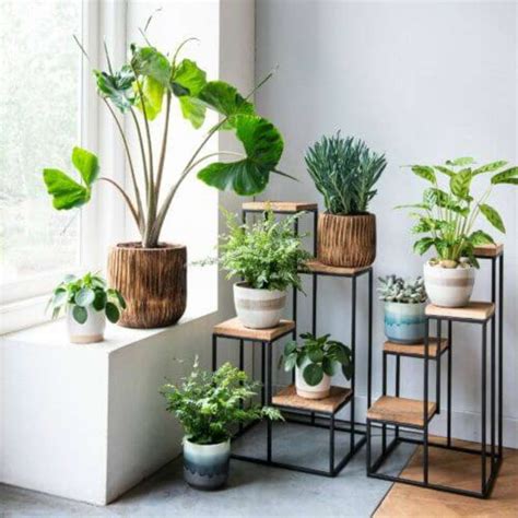 Suporte De Ferro Para Plantas - SUPORTE PARA PLANTAS – de Madeira, Ferro, Paletes, para Pendurar