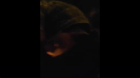 En La Calle Pornhub Gay