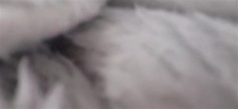 Geile Australische Milf XHamster