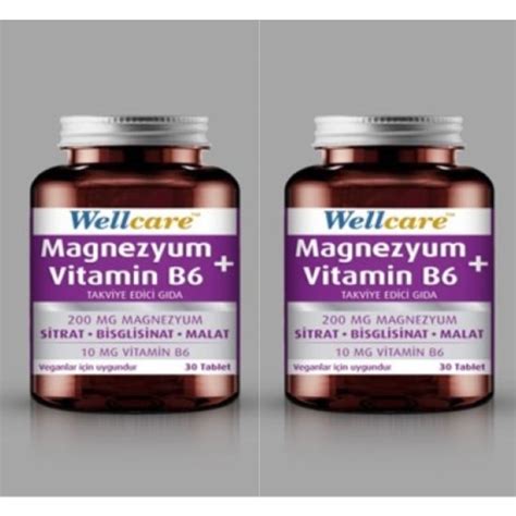 Wellcare Magnezyum + Vitamin B6 30 Tablet 2 Kutu Fiyatı