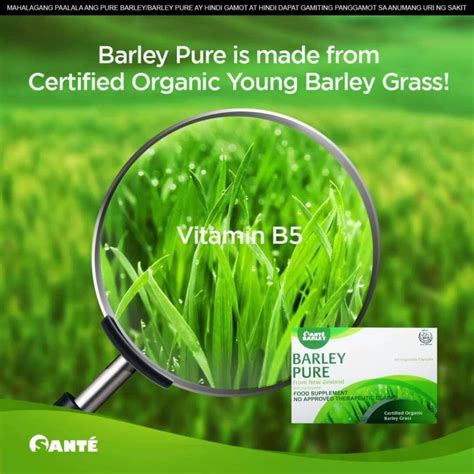 Sante Barley Capsule Buy 3 Get 1 Sante Choco Barley Plus Free Shipping