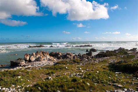 Cape Agulhas Stony Point Nature Reserve