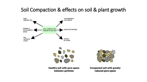 Solution 11 Soil Compaction Effects On Soil Plant Studypool