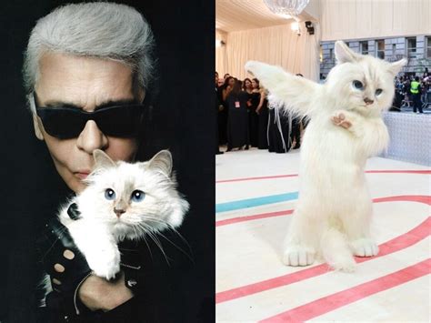 為什麼Met Gala紅毯上的巨貓最搶鏡？Karl Lagerfeld 生前愛貓Choupette成為眾星造型靈感？ | ELLE HK
