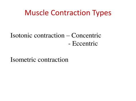 Muscle Relationships And Types Of Contractions Ppt Download