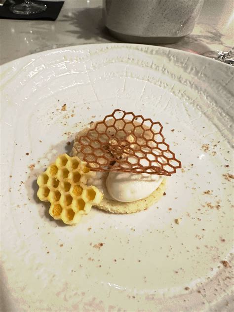 'Dining With The Stars' Orlando An Elevated Culinary Adventure | Orlando, FL Patch