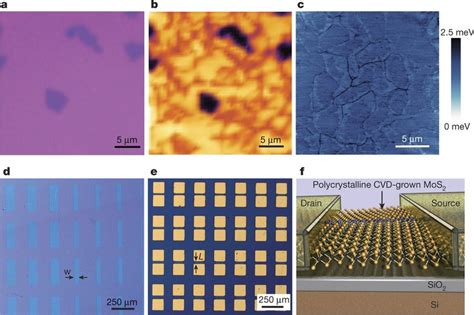 Architecture Of The Mos2 Memtransistor A Optical Micrograph Of