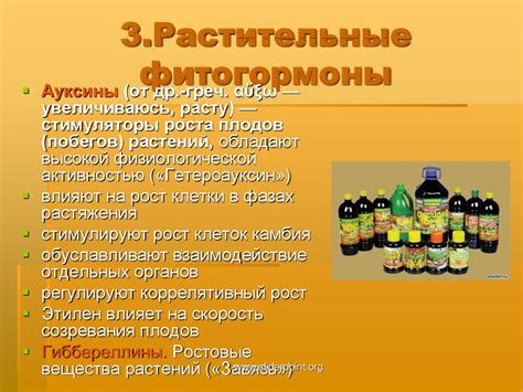 Царство Растения - презентация онлайн