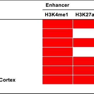 Histone marks associated with enhancers or promoters in several brain ... 