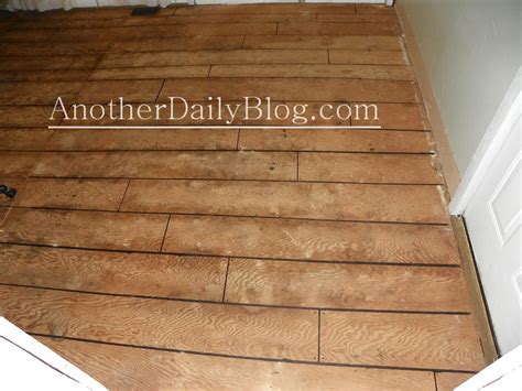 Daanis How To Make Plywood Floors Look Nice