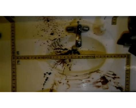 Controversial Jodi Arias Crime Scene Photos: The Debate Continues - ugspr2u