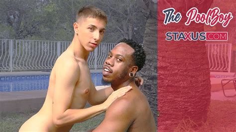 Free Staxus Gay Porn Videos Xhamster