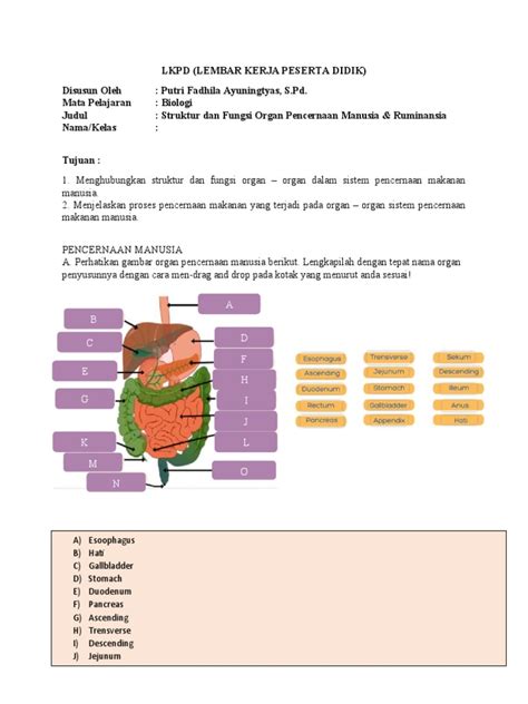 Smanba Lkpd Sistem Pencernaan Pdf