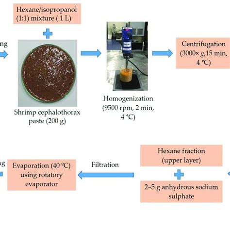 Preparation Of Shrimp Lipid Sl From Shrimp Cephalothorax Download Scientific Diagram