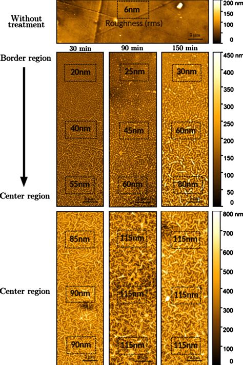 Atomic force microscopy of the modified samples with exposition time of ... 