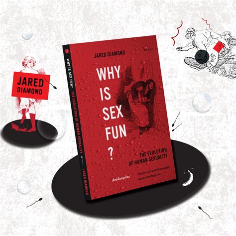 หนงสอ เซกซนนสนกไฉน ววฒนาการดาน เพศวถของมนษย Why is Sex Fun The Evolution of