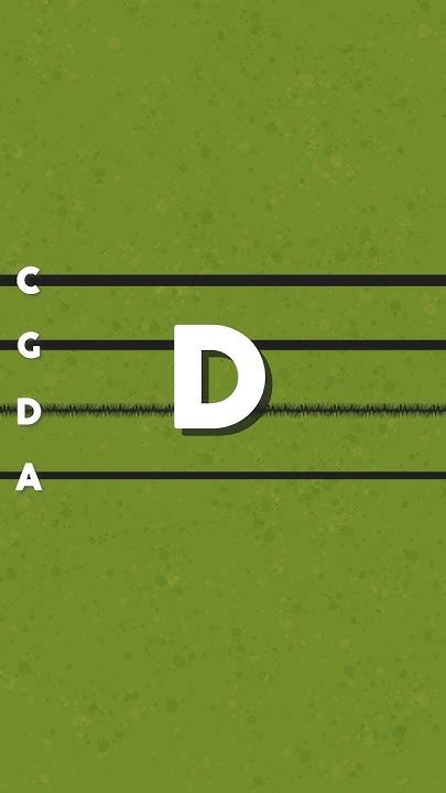 Fast Cello Tuner Cgda By Dedalo Cellotuner Cello Violoncello