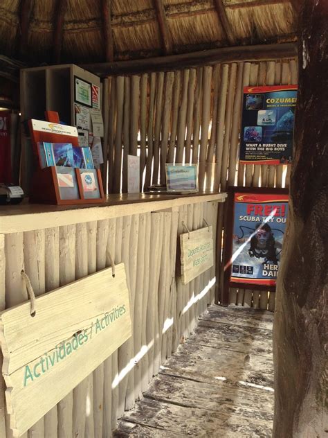 Pro Dive International Catalonia Royal Tulum Puerto Aventuras Padi