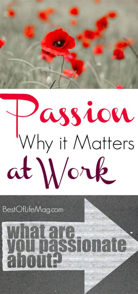 Why Being Passionate About Work Matters Best Of Life Mag