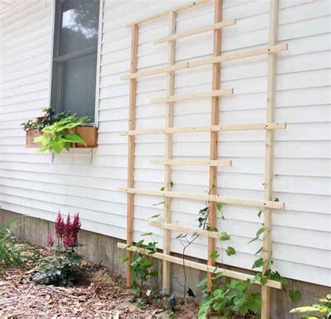 18 DIY Garden Trellis Projects