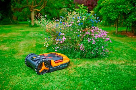 6 Best Robotic Lawn Mowers Haute Life Hub