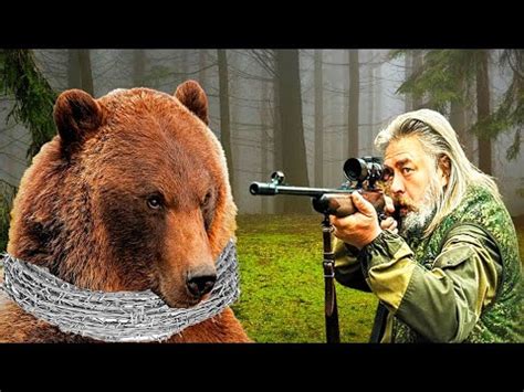 Медведь умолял человека о помощи. Но охотник поступил ужасно! - YouTube