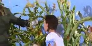 The Wizard Of Oz Porn Parody Tnaflix