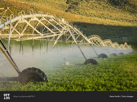 Irrigation system spraying crop field stock photo - OFFSET