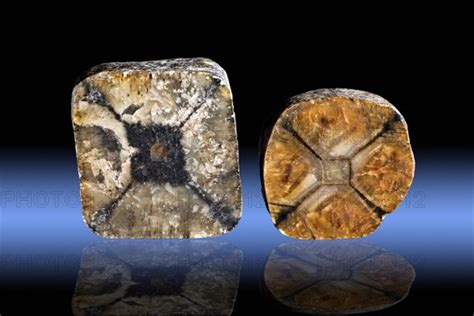 Andalusite Variety Chiastolite Madera Photo Imagebroker Phil Degginger