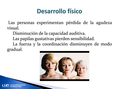 Unidad Edad Adulta Temprana Intermedia Y Tard A Ppt