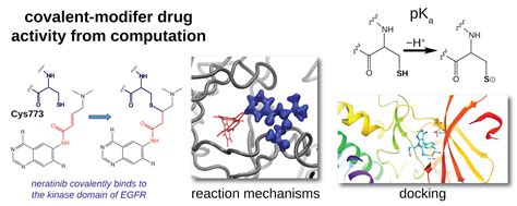 Covalent Modifiers: Modeling Covalent-Modifier Drugs 