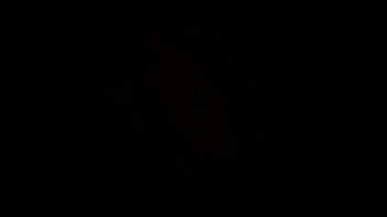 Con Mi Novia Tatuada Xvideos