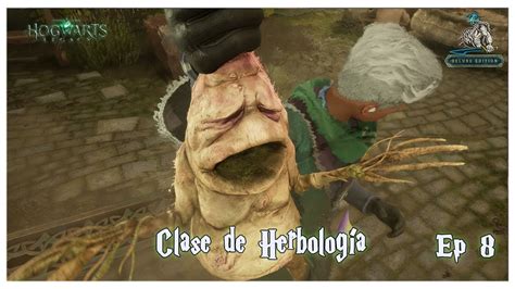 Hogwarts Legacy Clase de Herbología Ep 8 YouTube