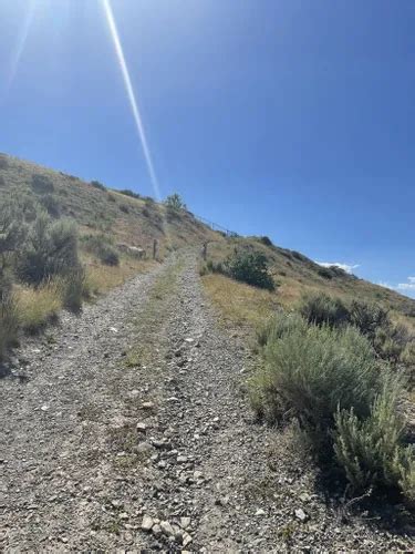 2023 Best Wild Flowers Trails in Highland | AllTrails