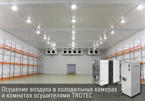Применение осушителей воздуха TROTEC для холодильных камер | Trotec