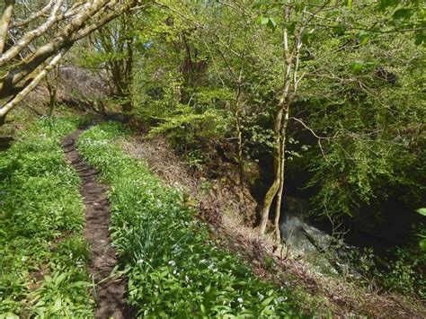 Overtoun House Nature Trail Path And © Lairich Rig Cc By Sa 2 0 Geograph Britain And Ireland