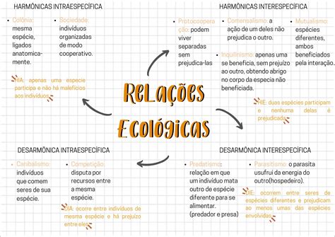 Relações Ecológicas Mapa Mental BRAINCP