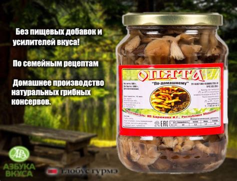 Грибы ИП Журавлева З.Е Опята маринованные по-домашнему 600г Россия ...