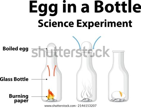 Science Experiment Do Home Egg Bottle Stock Vector Royalty Free