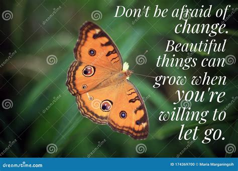 Inspirational Quote Do Not Be Afraid Of Change Beautiful Things Can