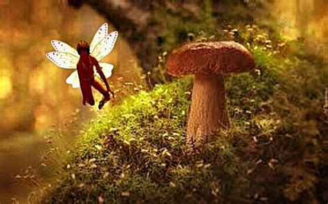 Lovely Elida My Tiny Fairy Friend By Ornaterra On Deviantart