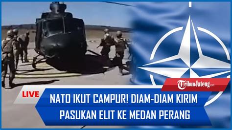 Nato Ikut Campur Diam Diam Kirim Pasukan Elit Ke Medan Perang Hamas