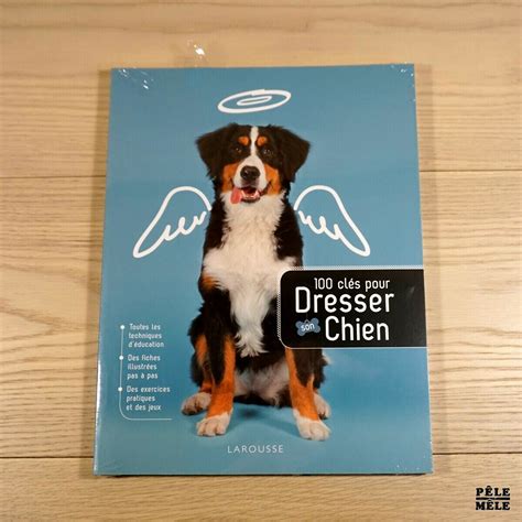 100 clés pour dresser son chien Sarah Fisher Marie Miller Pêle