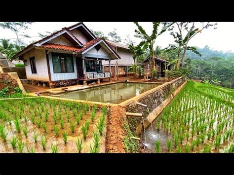 Bikin Betah Suasana Sore Di Pedesaan Kampung Yang Indah Ramah