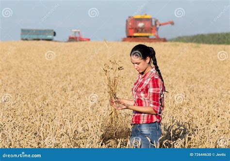 Menina Do Fazendeiro No Campo De Trigo Foto De Stock Imagem De