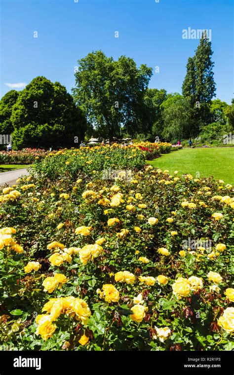 English Gardens Regents Park Hi Res Stock Photography And Images Alamy